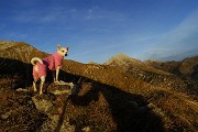 Autunnale in CIMA MENNA da Zorzone con discesa dal Chignol d’Arale il 19 novembre 2015  - FOTOGALLERY